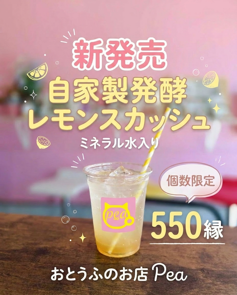 自家製発酵レモンスカッシュ 新発売 個数限定550縁 おとうふのお店Pea